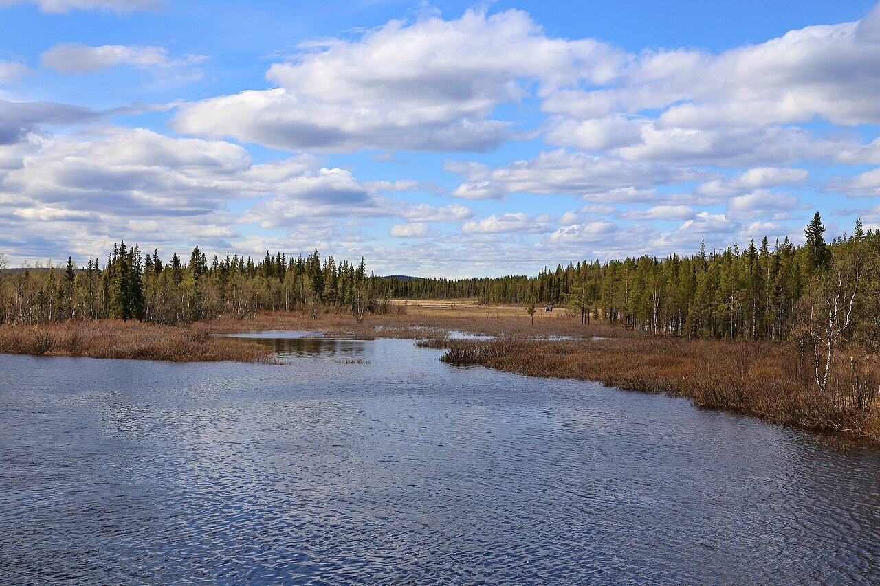 Lapland: Landscape near Hakkas, Northern Sweden.